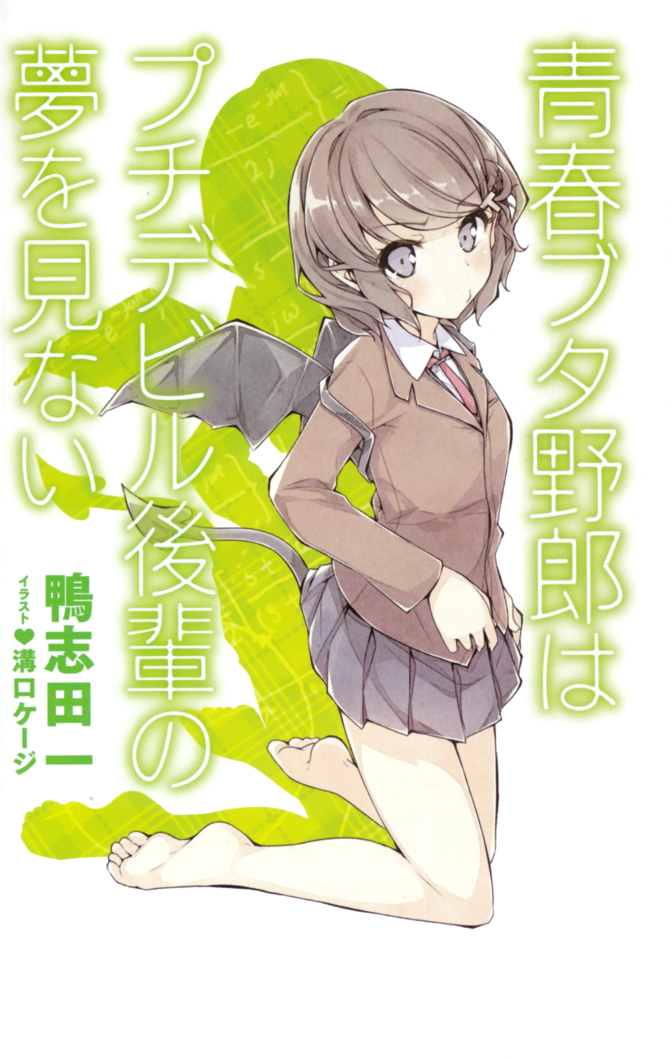 青春笨蛋少年不做小恶魔学妹的梦 封面