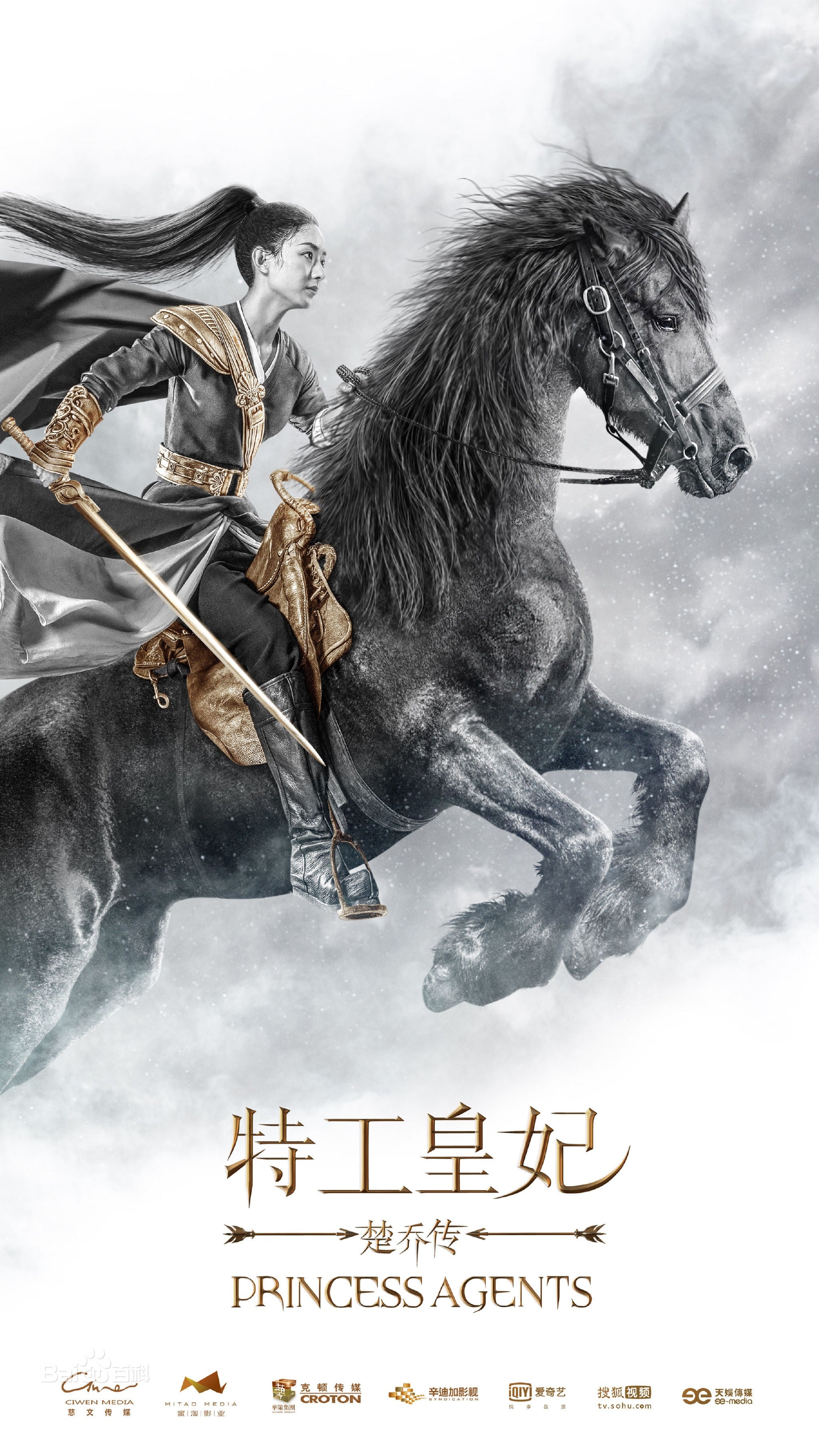 楚乔传 封面