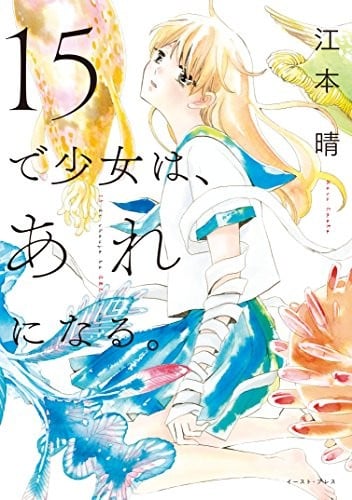 少女15岁时会变成那样子 封面
