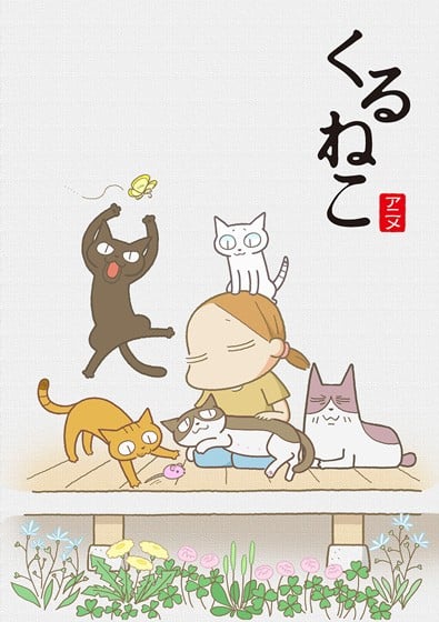 来来猫 封面
