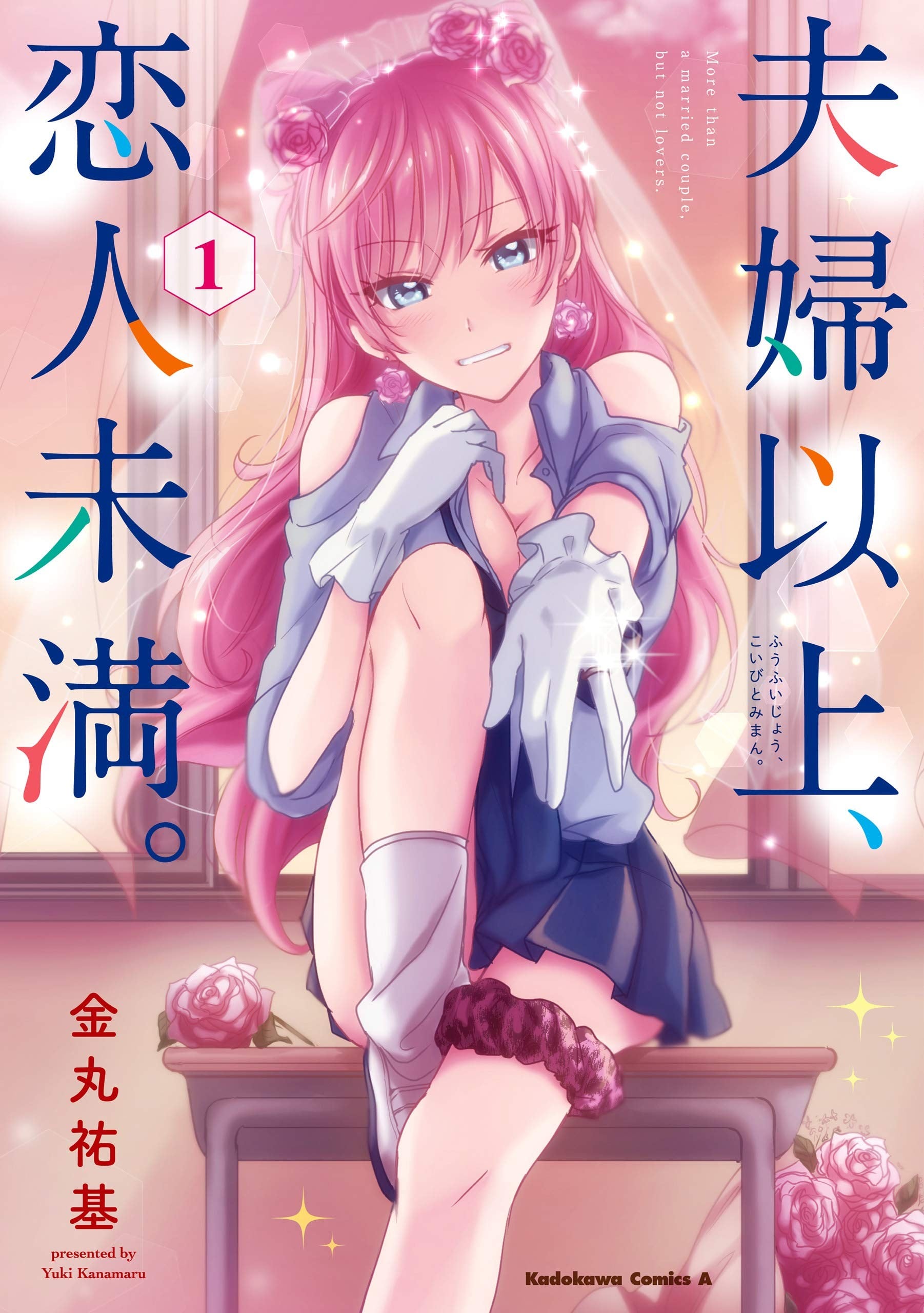 夫妇以上,恋人未满 封面