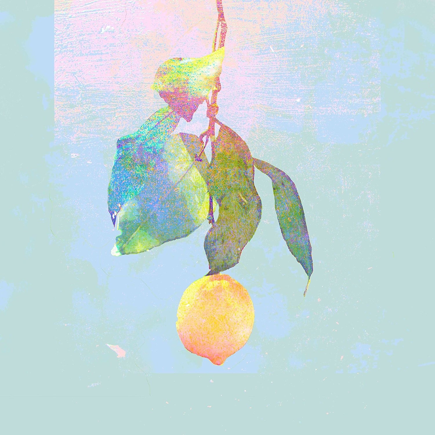 Lemon 封面