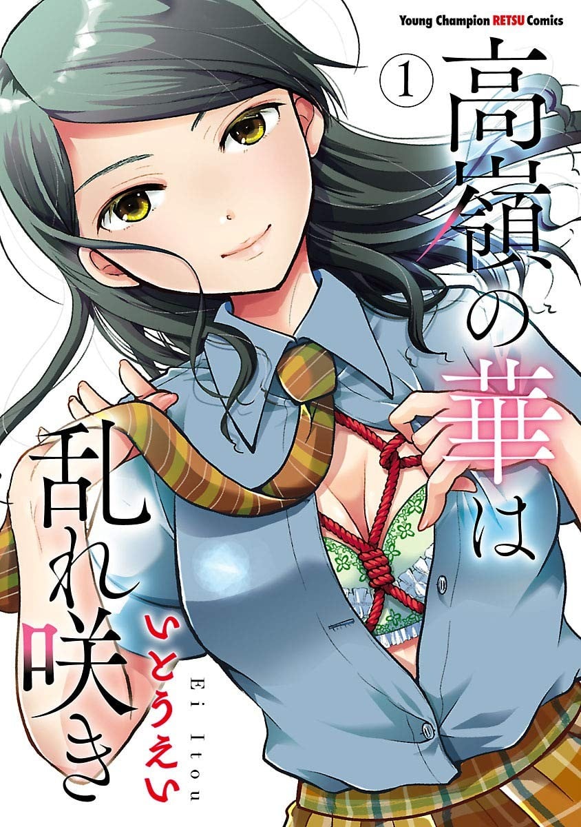 高岭之华烂漫开 封面