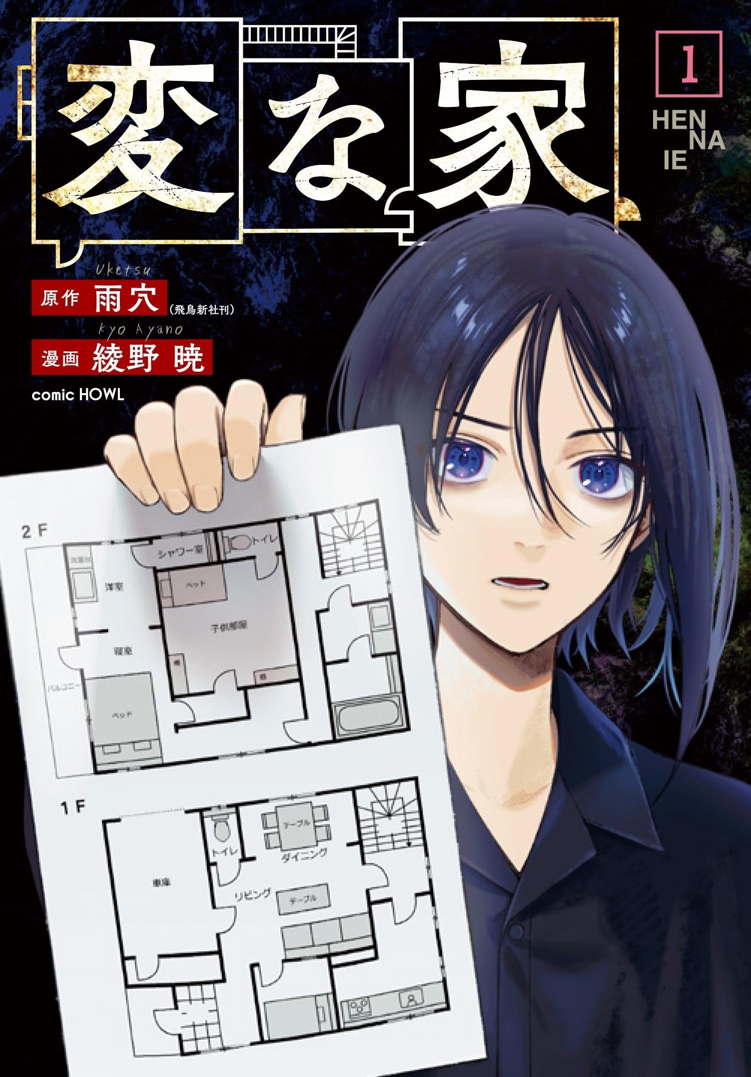 怪屋谜案 封面