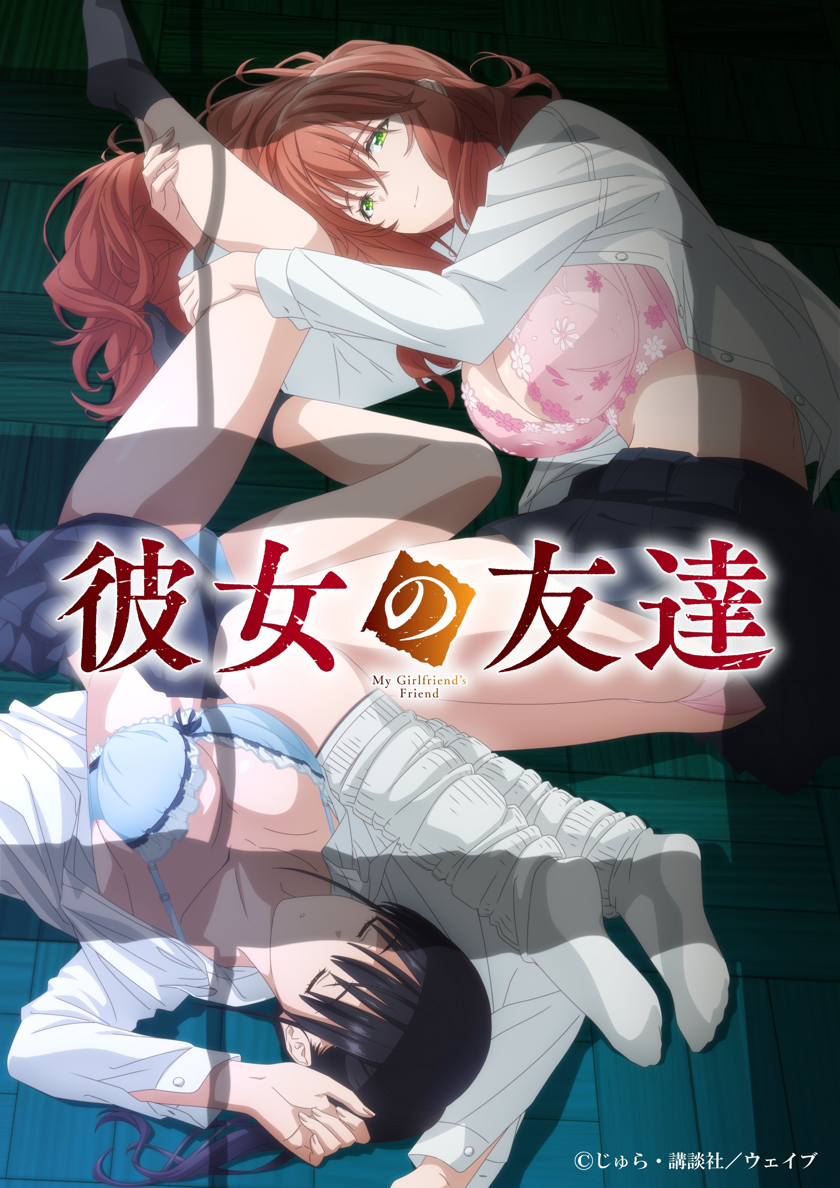 女友的朋友 封面