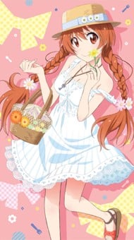 はなごのみ 封面