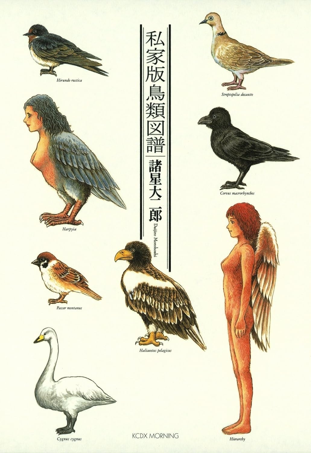 私家版鸟类图谱 封面