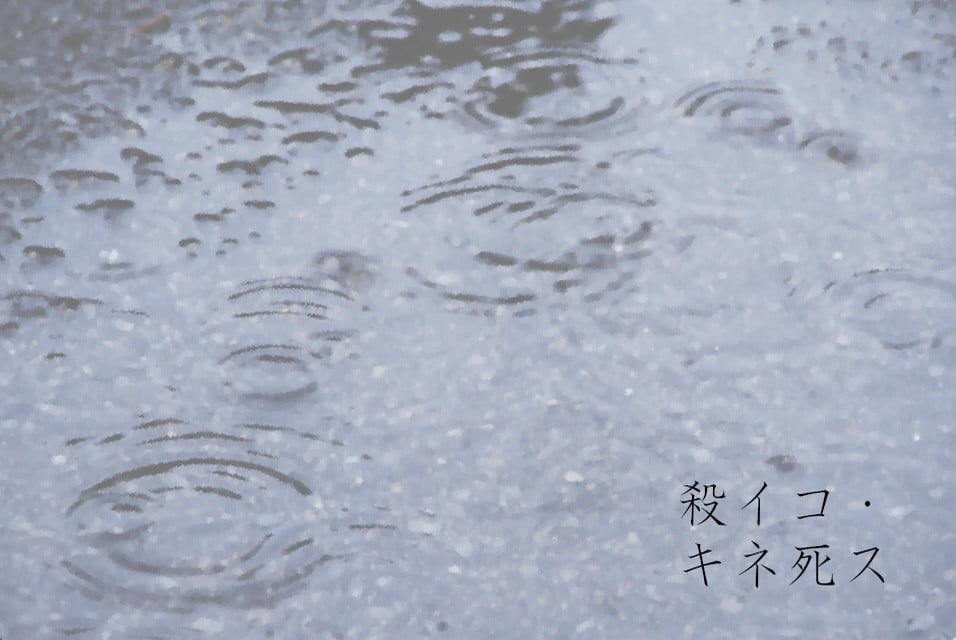 殺イコ・キネ死ス 封面