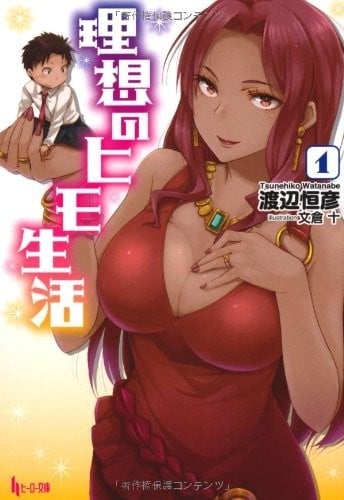 理想的小白脸生活 封面
