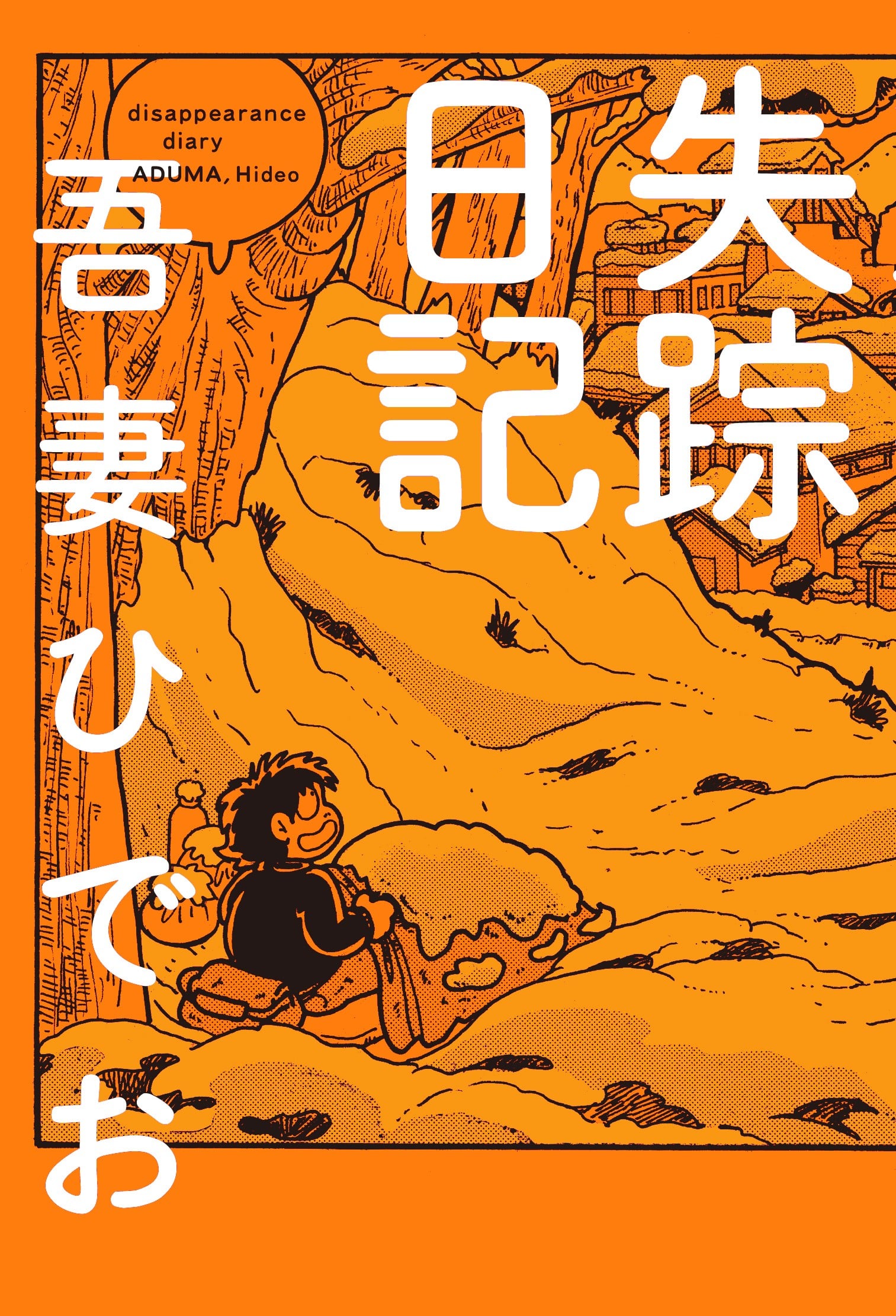 失踪日记 封面