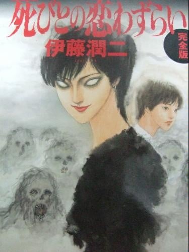 至死不渝的爱 完全版 封面