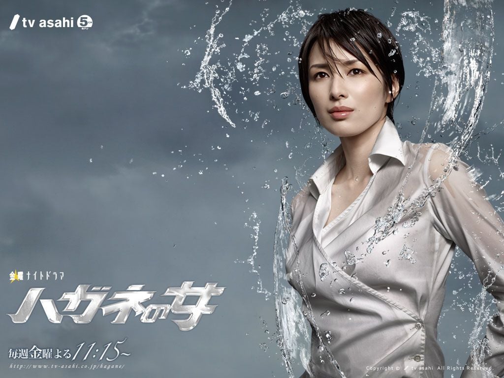 钢之女 封面