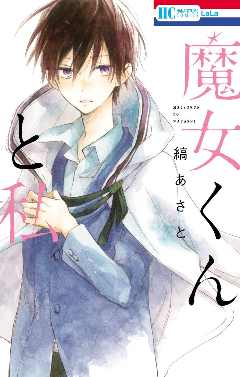 魔女君与我 封面