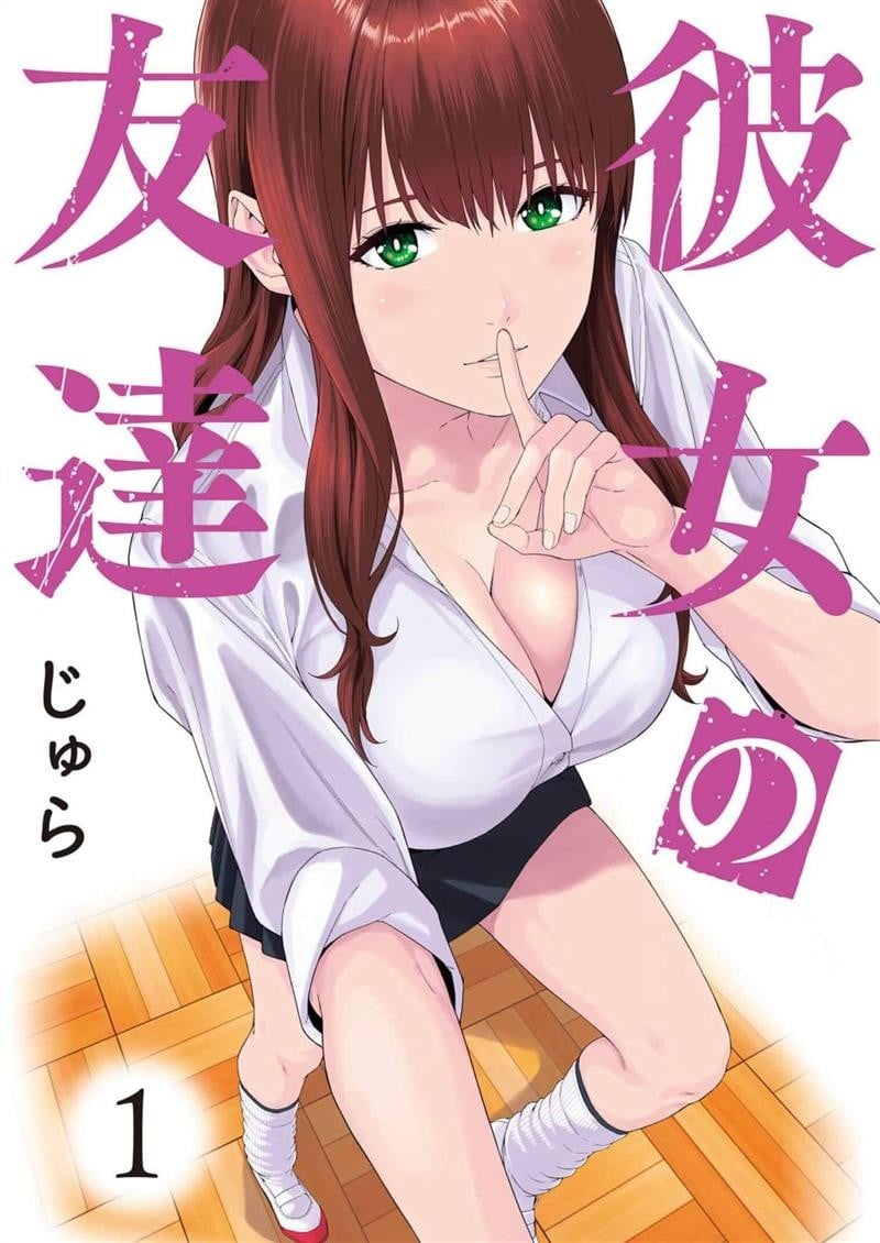 女友的朋友 封面