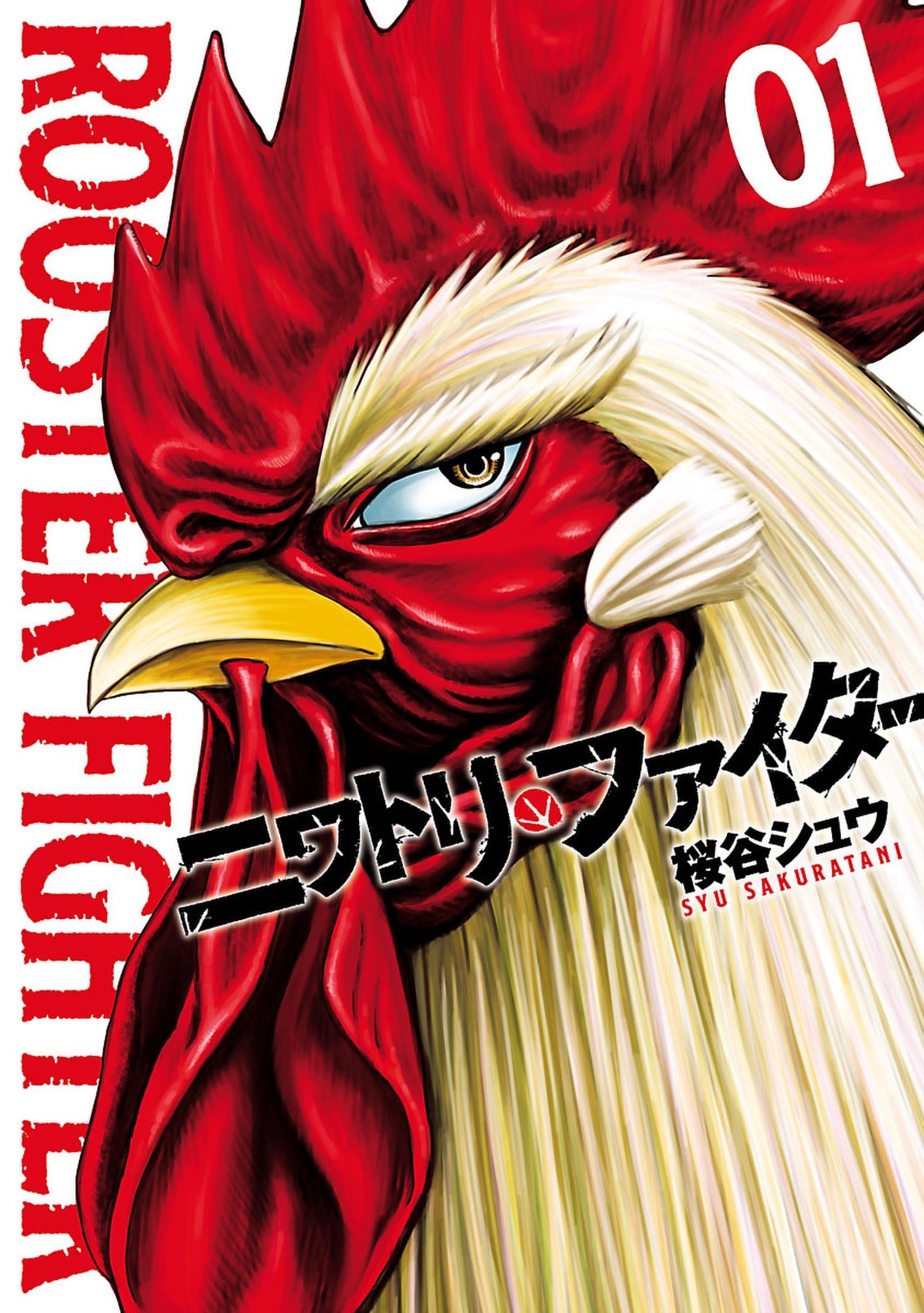鸡斗士 封面
