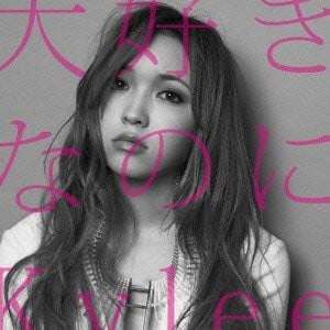 大好きなのに 封面