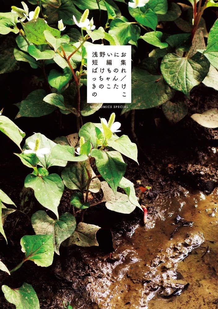 浅野一二O短篇集:怪物裂口女/香菇与竹笋 封面