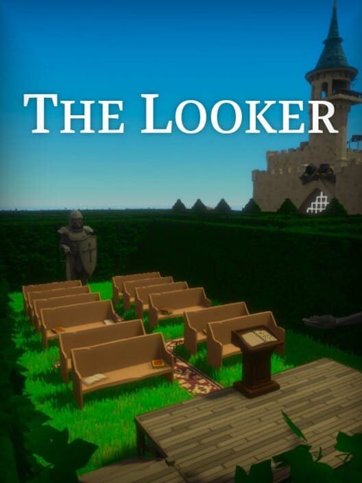 The Looker 封面