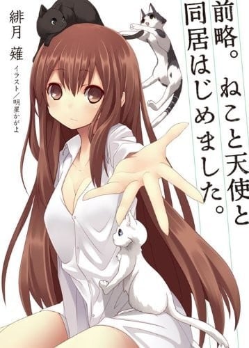 前略。我与猫和天使同居。 封面
