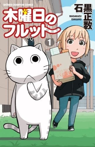 我家的街猫 封面