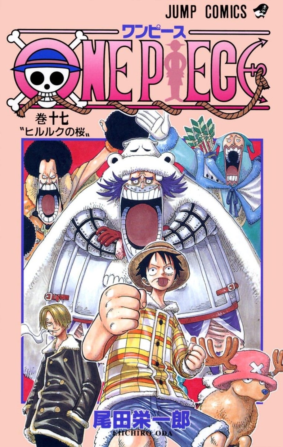 ONE PIECE (17) 封面