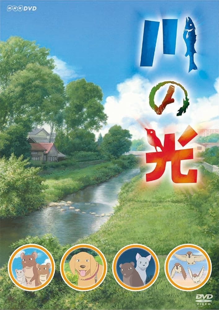 川之光 封面