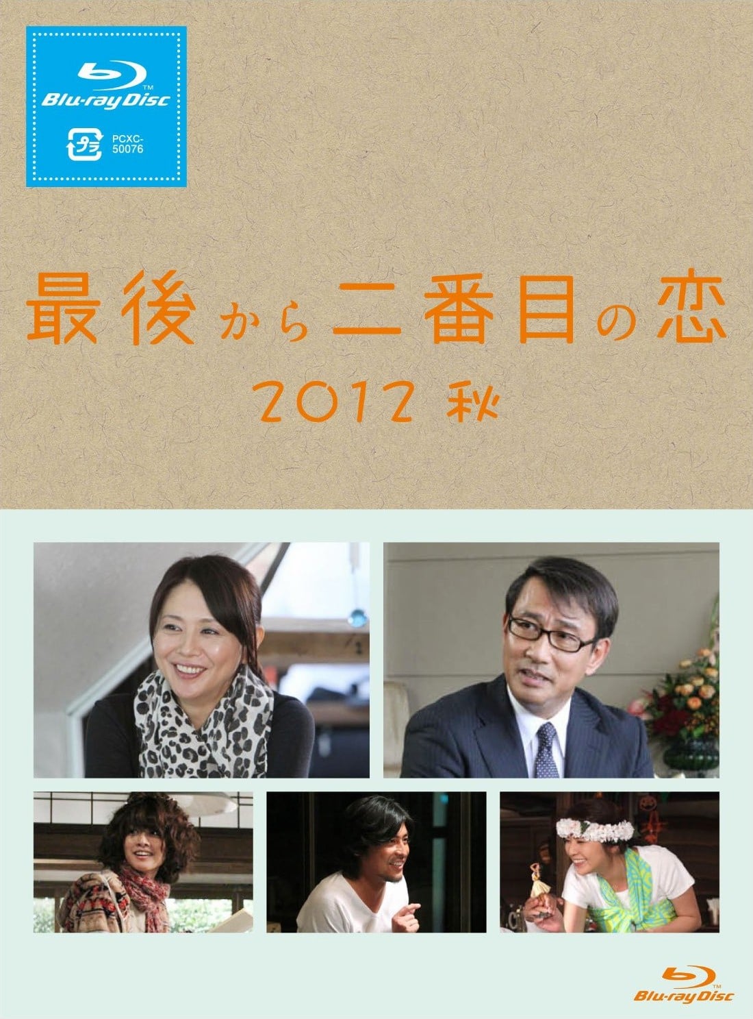 倒数第二次恋爱 2012秋 SP 封面