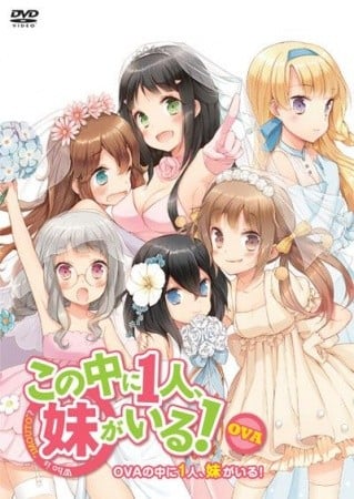三人行必有我妹 OVA 封面
