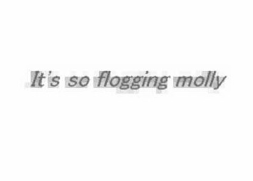 It's so flogging molly 封面