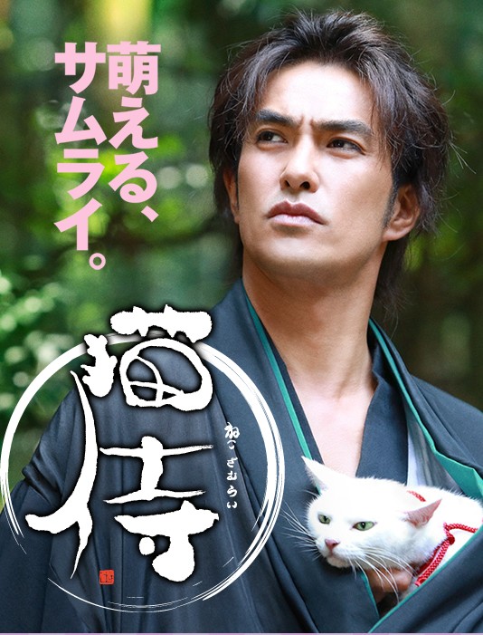 猫武士 封面