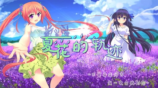 夏花的轨迹——A summer promise to forever 封面