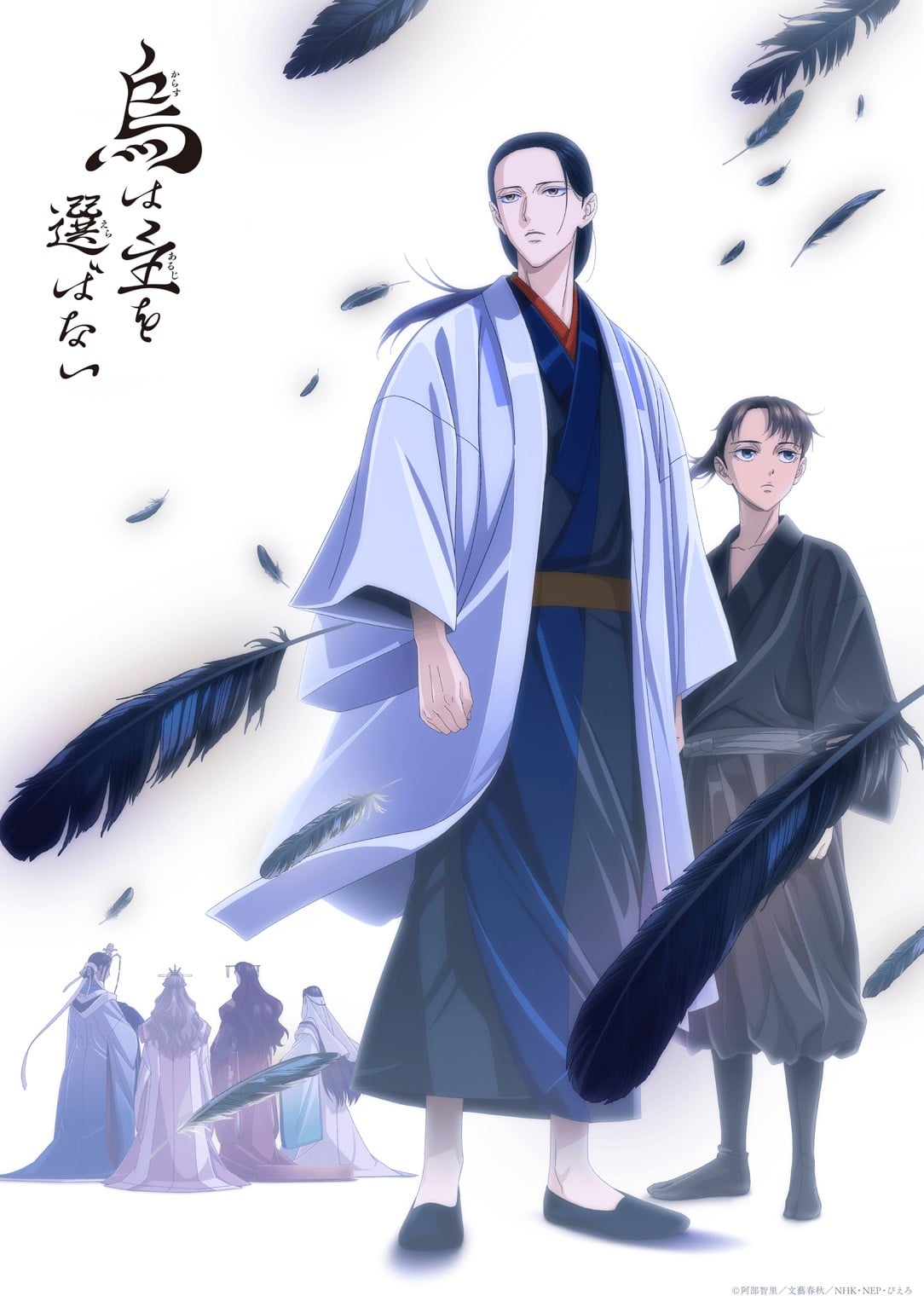 乌鸦不择主 封面