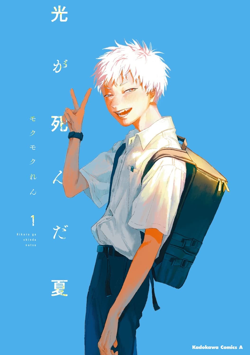 光死去的夏天 封面