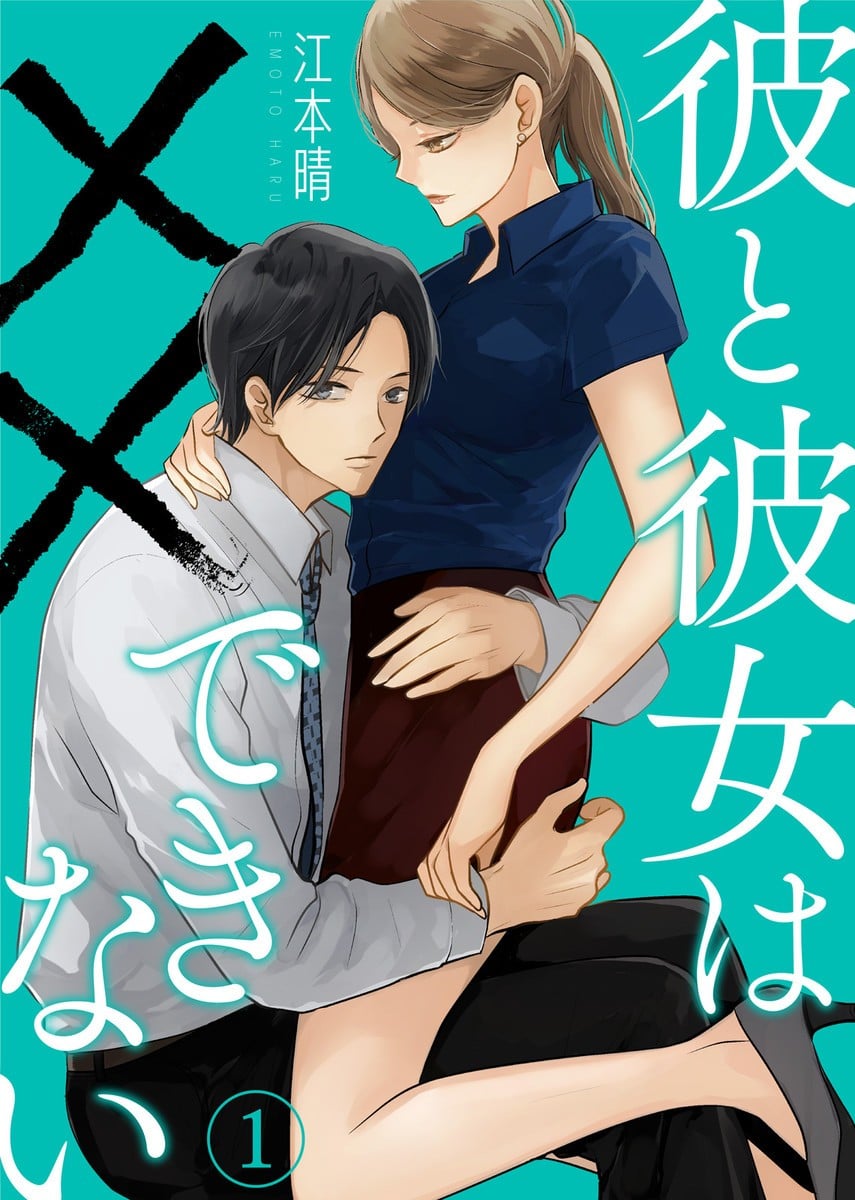 他她不能×× 封面