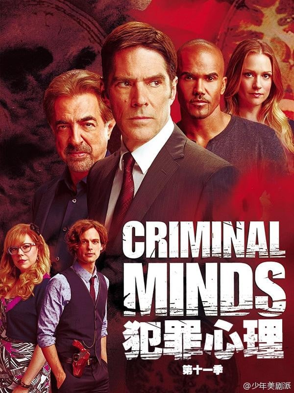 犯罪心理 第11季 封面