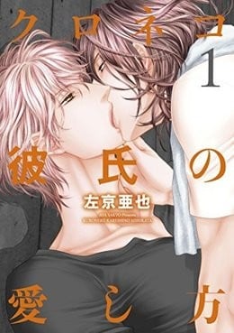 黑猫男友系列 封面