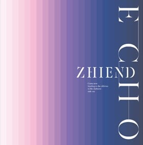 ECHO 封面