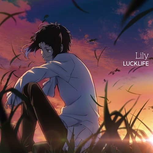 Lily 封面
