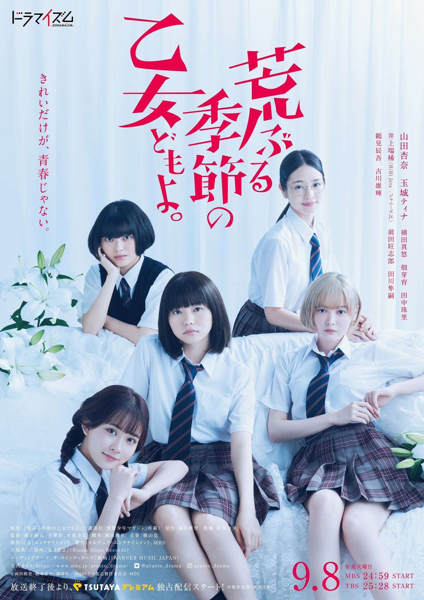 骚动时节的少女们啊 封面