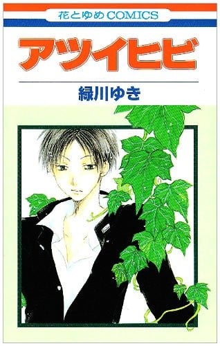 炎热的日子 封面