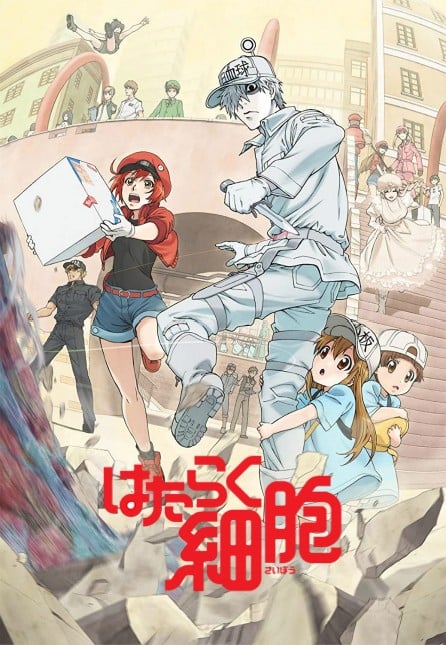 工作细胞 封面