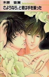 再见、我的爱 封面