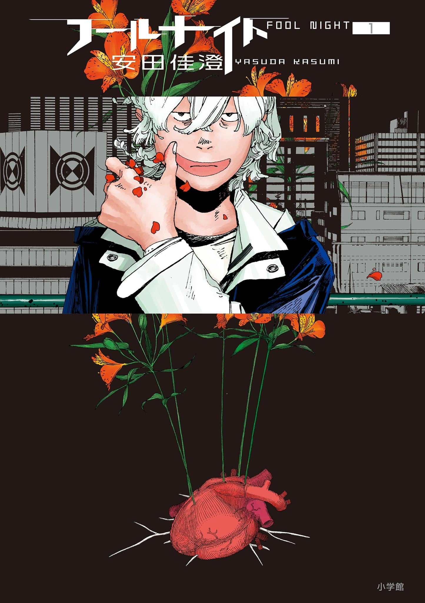 愚者之夜 封面