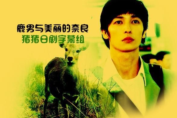 鹿男与美丽的奈良 封面