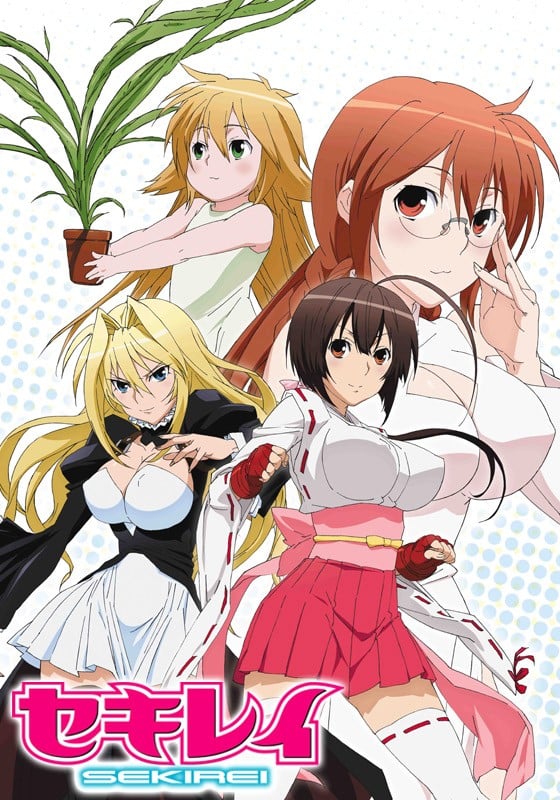 鹡鸰女神 封面