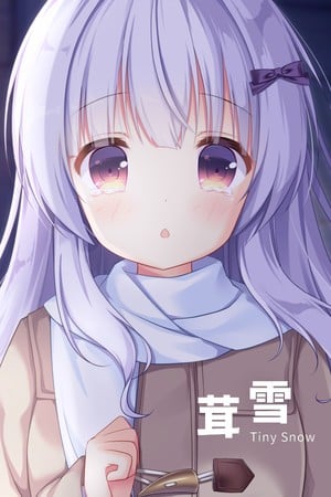 茸雪 封面