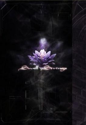 Swell Strings 封面