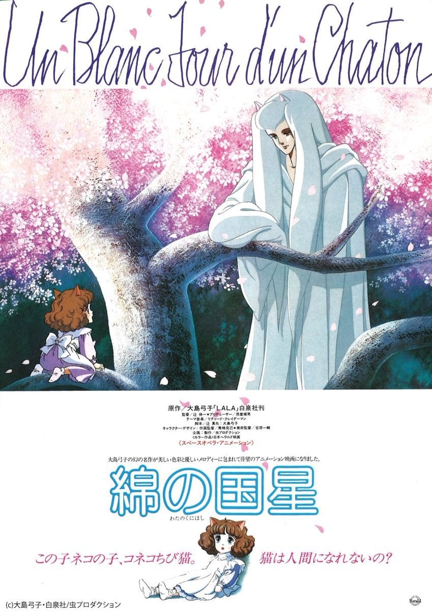 棉花国之星 封面