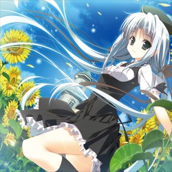 向日葵の教会と長い夏休み サウンドトラックCD 封面