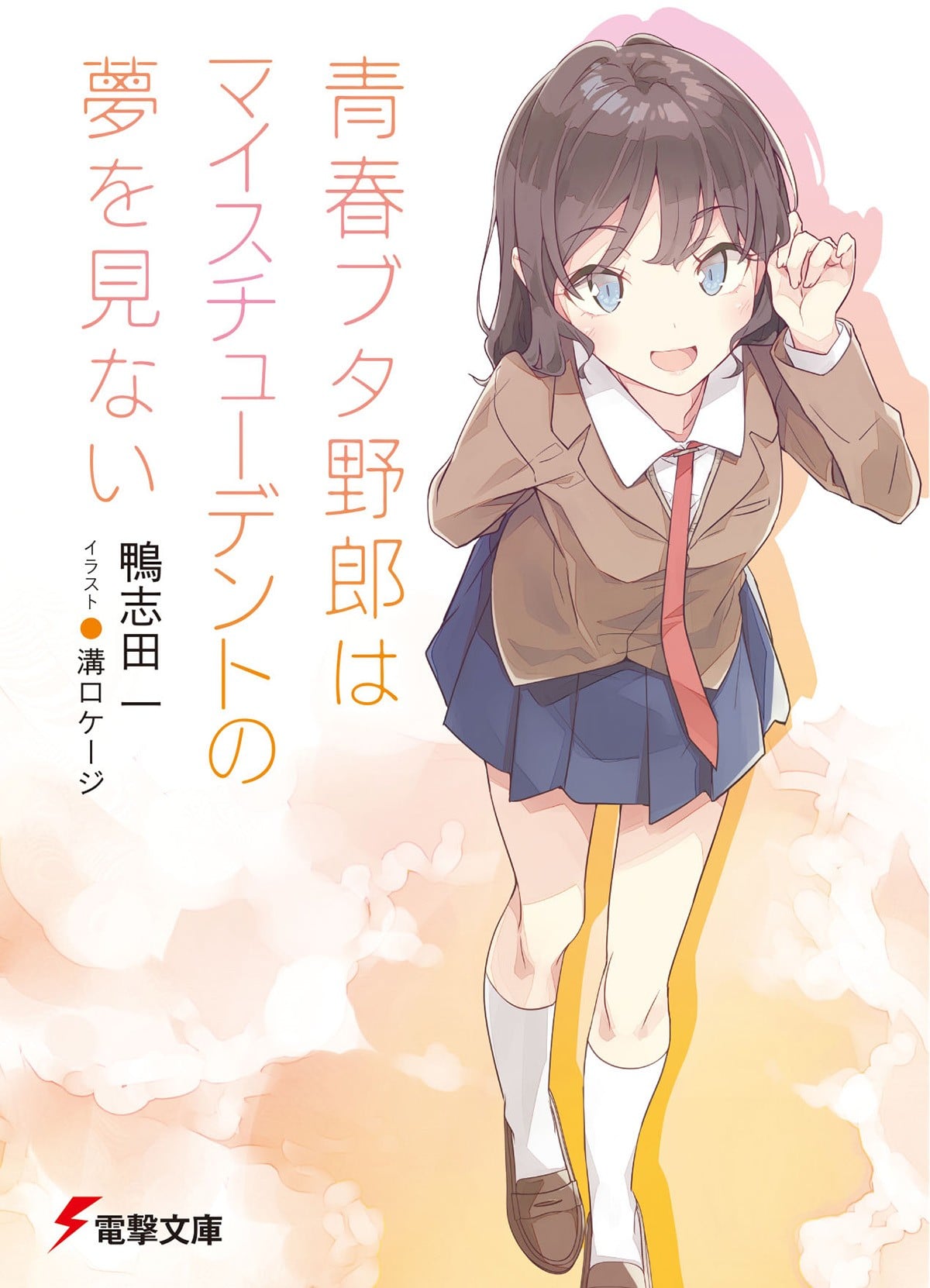 青春笨蛋少年不做自家女学生的梦 封面